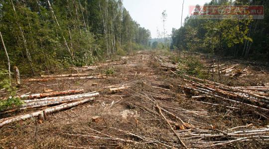 Заповедник Заповедник